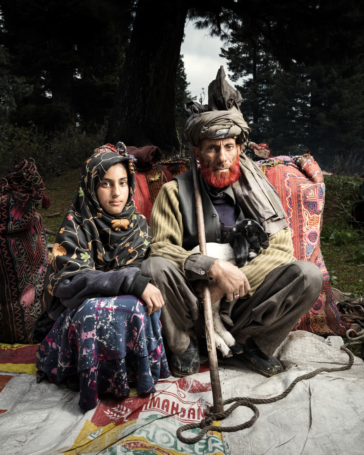 Bakkarwal nomads, Himalayan migration 1