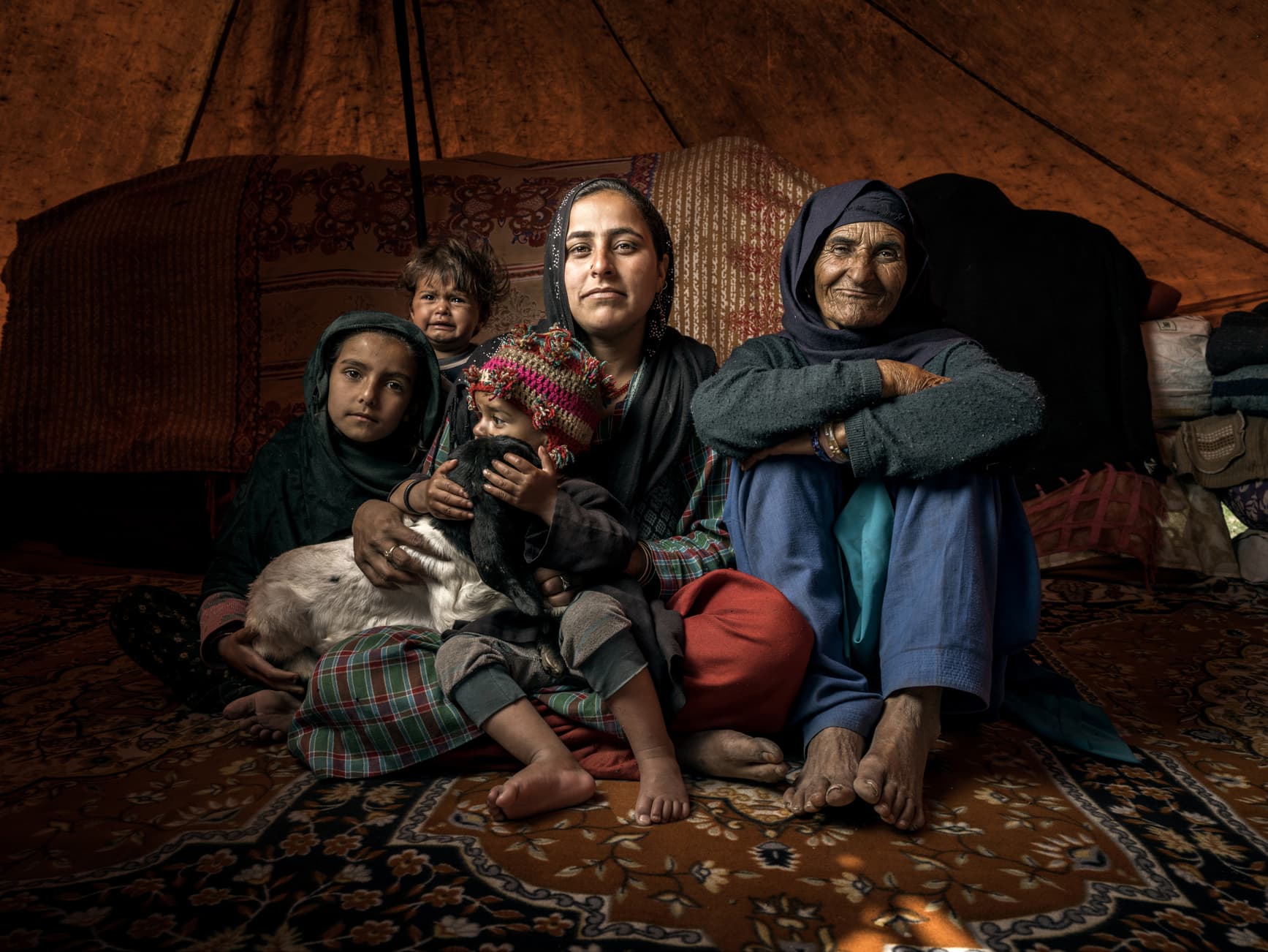 Bakkarwal nomads, Himalayan migration 6
