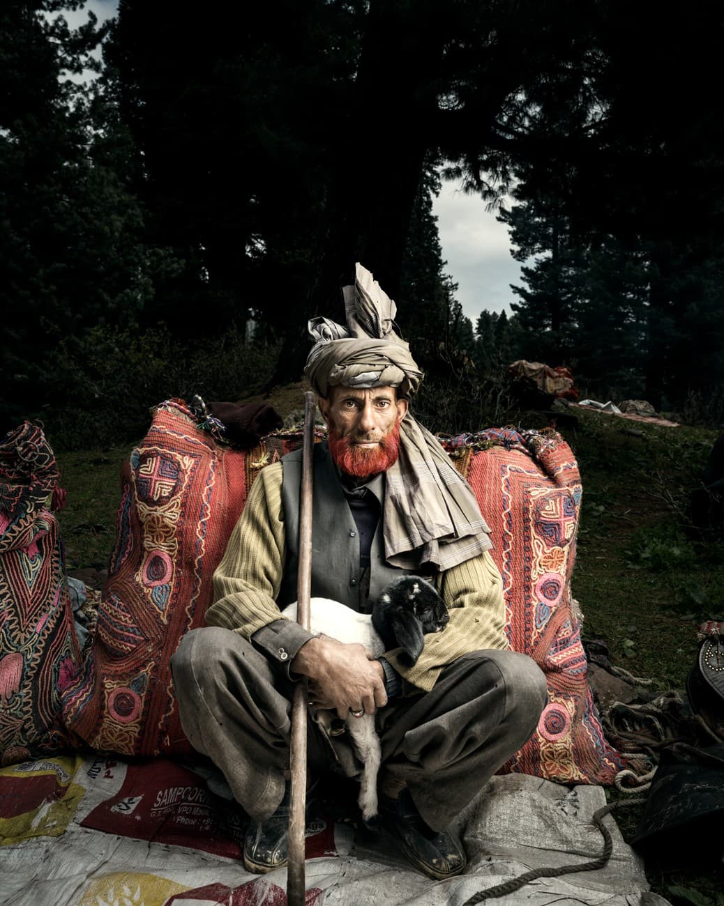Shepherd with a lamb, Bakkarwal community