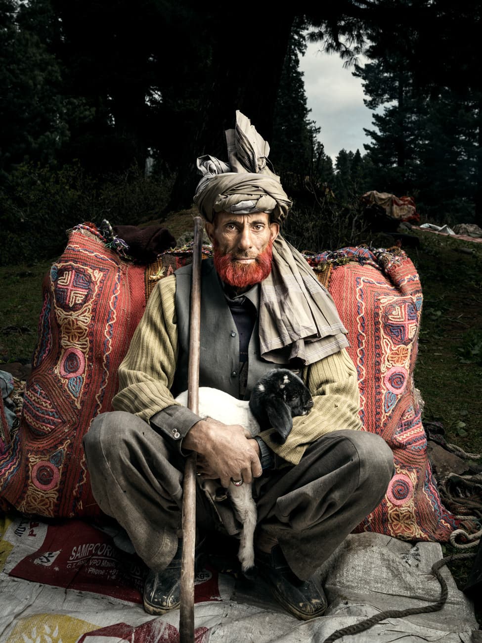 Bakkarwal Nomads
