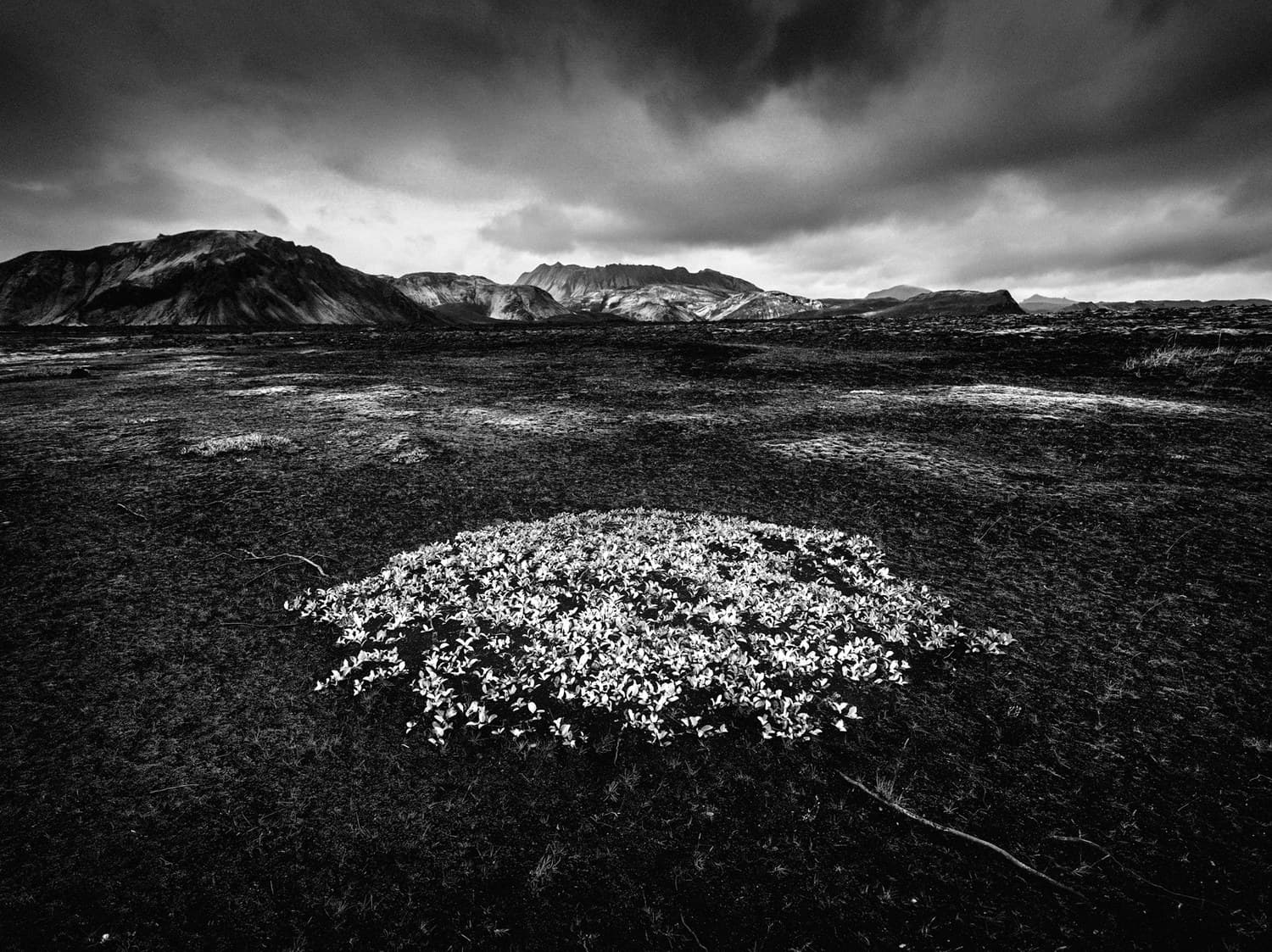 Iceland, volcanic landscapes 6